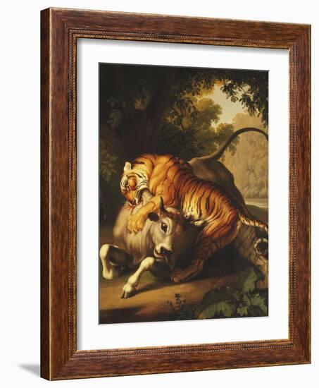 A Tiger Attacking a Bull, 1785-Johan Wenzel Peter-Framed Premium Giclee Print