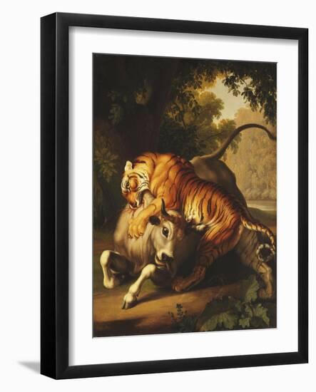 A Tiger attacking a Bull-Peter Wenzel-Framed Giclee Print