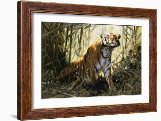 A Tiger with a Peacock-Wilhelm Kuhnert-Framed Giclee Print