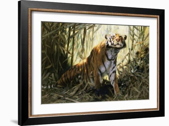 A Tiger with a Peacock-Wilhelm Kuhnert-Framed Giclee Print