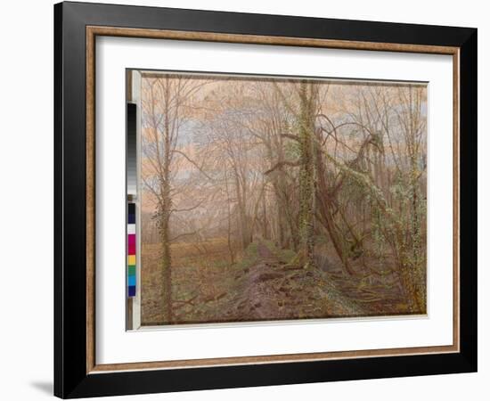 A Time Line of Trees, 2008-Maurice Sheppard-Framed Giclee Print