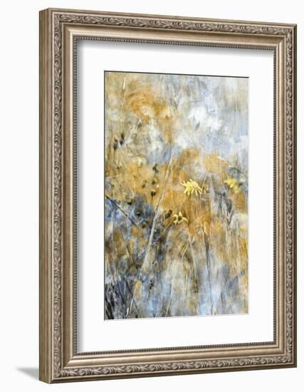 A Time Of Freedom-Delphine Devos-Framed Photographic Print