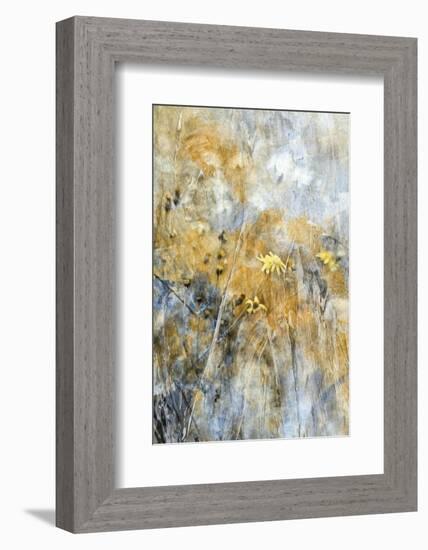A Time Of Freedom-Delphine Devos-Framed Photographic Print