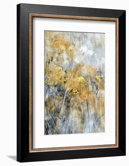 A Time Of Freedom-Delphine Devos-Framed Photographic Print