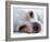 A Tiny Chihuahua Lying On A Couch-graphicphoto-Framed Photographic Print