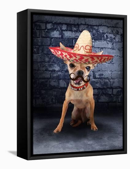 A Tiny Chihuahua With A Sombrero Hat On-graphicphoto-Framed Premier Image Canvas
