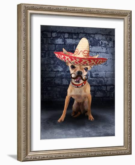 A Tiny Chihuahua With A Sombrero Hat On-graphicphoto-Framed Photographic Print