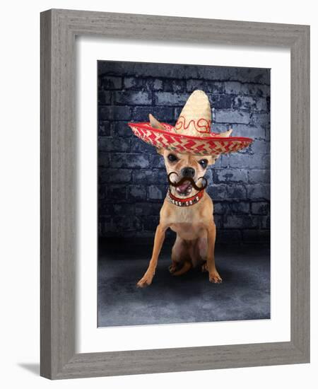 A Tiny Chihuahua With A Sombrero Hat On-graphicphoto-Framed Photographic Print