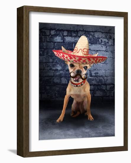 A Tiny Chihuahua With A Sombrero Hat On-graphicphoto-Framed Photographic Print