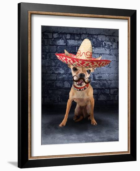 A Tiny Chihuahua With A Sombrero Hat On-graphicphoto-Framed Photographic Print