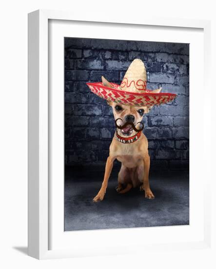 A Tiny Chihuahua With A Sombrero Hat On-graphicphoto-Framed Photographic Print