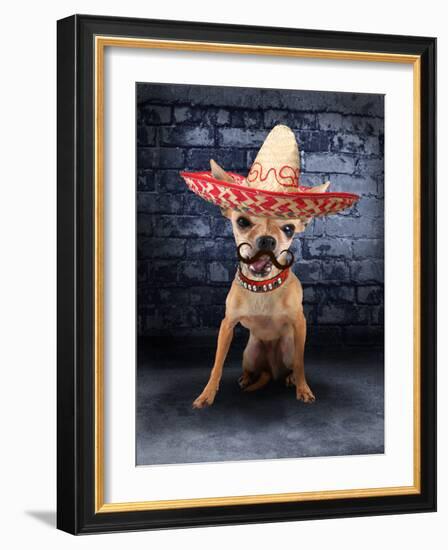 A Tiny Chihuahua With A Sombrero Hat On-graphicphoto-Framed Photographic Print