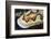 A Tiny Emperor Shrimp on a Nudibranch-Stocktrek Images-Framed Photographic Print