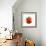 A Tomato with Drops of Water-Michael Löffler-Framed Photographic Print displayed on a wall