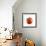 A Tomato with Drops of Water-Michael Löffler-Framed Photographic Print displayed on a wall