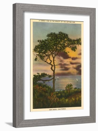 A Torrey Pine, San Diego, California-null-Framed Art Print