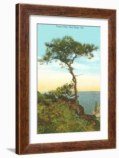 A Torrey Pine, San Diego, California-null-Framed Art Print