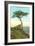 A Torrey Pine, San Diego, California-null-Framed Art Print