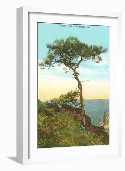 A Torrey Pine, San Diego, California-null-Framed Art Print