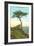 A Torrey Pine, San Diego, California-null-Framed Art Print