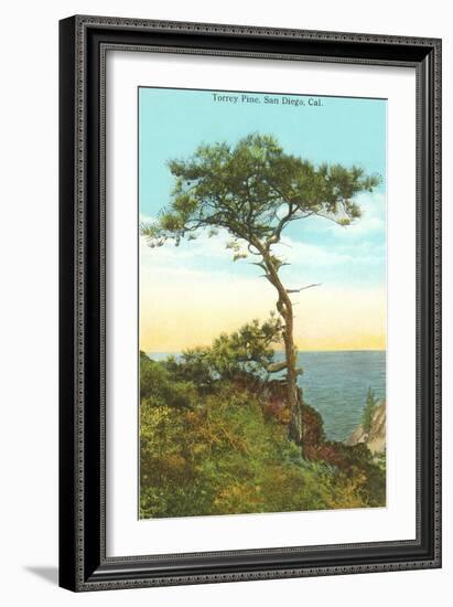 A Torrey Pine, San Diego, California-null-Framed Art Print