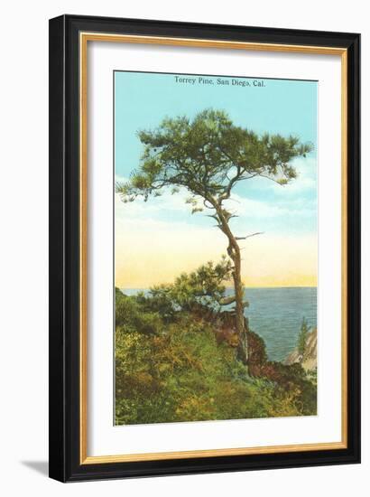 A Torrey Pine, San Diego, California-null-Framed Art Print