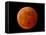 A Total Lunar Eclipse-null-Framed Premier Image Canvas