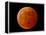 A Total Lunar Eclipse-null-Framed Premier Image Canvas