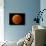 A Total Lunar Eclipse-null-Photographic Print displayed on a wall