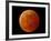 A Total Lunar Eclipse-null-Framed Photographic Print