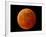 A Total Lunar Eclipse-null-Framed Photographic Print