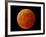 A Total Lunar Eclipse-null-Framed Photographic Print