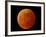 A Total Lunar Eclipse-null-Framed Photographic Print