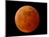 A Total Lunar Eclipse-null-Mounted Photographic Print