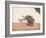 A Trader or Migrant on a Cart with His Belongings, Being Pulled by Two White Oxen, from…-null-Framed Giclee Print