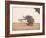 A Trader or Migrant on a Cart with His Belongings, Being Pulled by Two White Oxen, from…-null-Framed Giclee Print