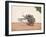 A Trader or Migrant on a Cart with His Belongings, Being Pulled by Two White Oxen, from…-null-Framed Giclee Print
