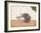 A Trader or Migrant on a Cart with His Belongings, Being Pulled by Two White Oxen, from…-null-Framed Giclee Print