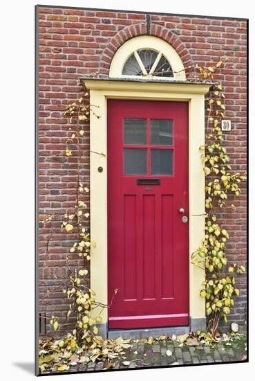 A Traditional Doorway in Autumn Colours, Old Town Utrecht, Netherlands-Julian Castle-Mounted Photo