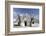 A Traditional Trullo House at Masseria Tagliente-Stuart Forster-Framed Photographic Print