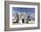 A Traditional Trullo House at Masseria Tagliente-Stuart Forster-Framed Photographic Print