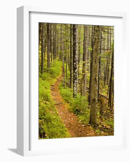 A trail around Ammonoosuc Lake, White Mountain National Forest, New Hampshire, USA-Jerry & Marcy Monkman-Framed Photographic Print