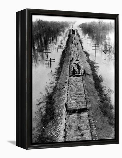 A Trainload of Sandbags is Transported to Line the Mississippi Mainline Levees-null-Framed Premier Image Canvas