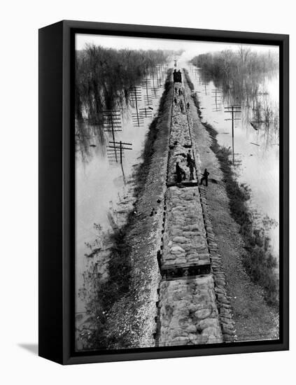 A Trainload of Sandbags is Transported to Line the Mississippi Mainline Levees-null-Framed Premier Image Canvas