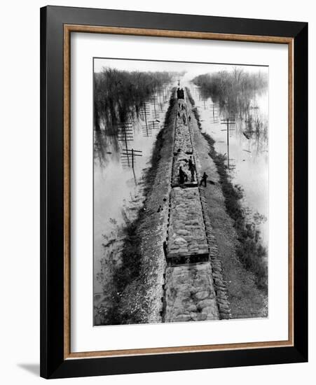 A Trainload of Sandbags is Transported to Line the Mississippi Mainline Levees-null-Framed Photographic Print