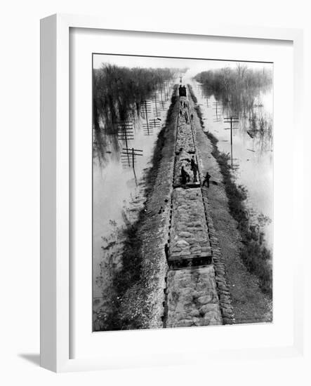 A Trainload of Sandbags is Transported to Line the Mississippi Mainline Levees-null-Framed Photographic Print