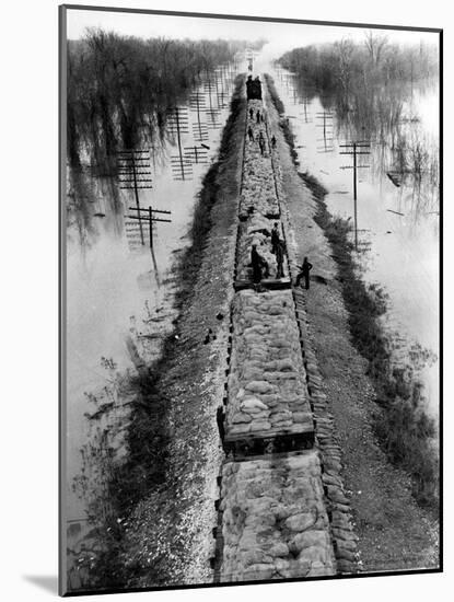 A Trainload of Sandbags is Transported to Line the Mississippi Mainline Levees-null-Mounted Photographic Print