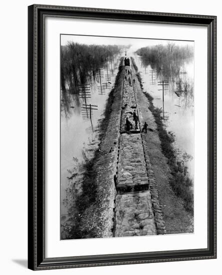 A Trainload of Sandbags is Transported to Line the Mississippi Mainline Levees-null-Framed Photographic Print