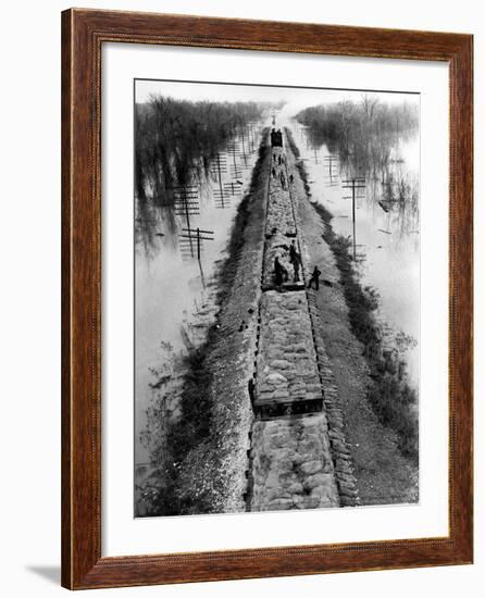 A Trainload of Sandbags is Transported to Line the Mississippi Mainline Levees-null-Framed Photographic Print