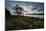 A Tree and Foliage on Rock on Baleia Beach at Sunset-Alex Saberi-Mounted Photographic Print